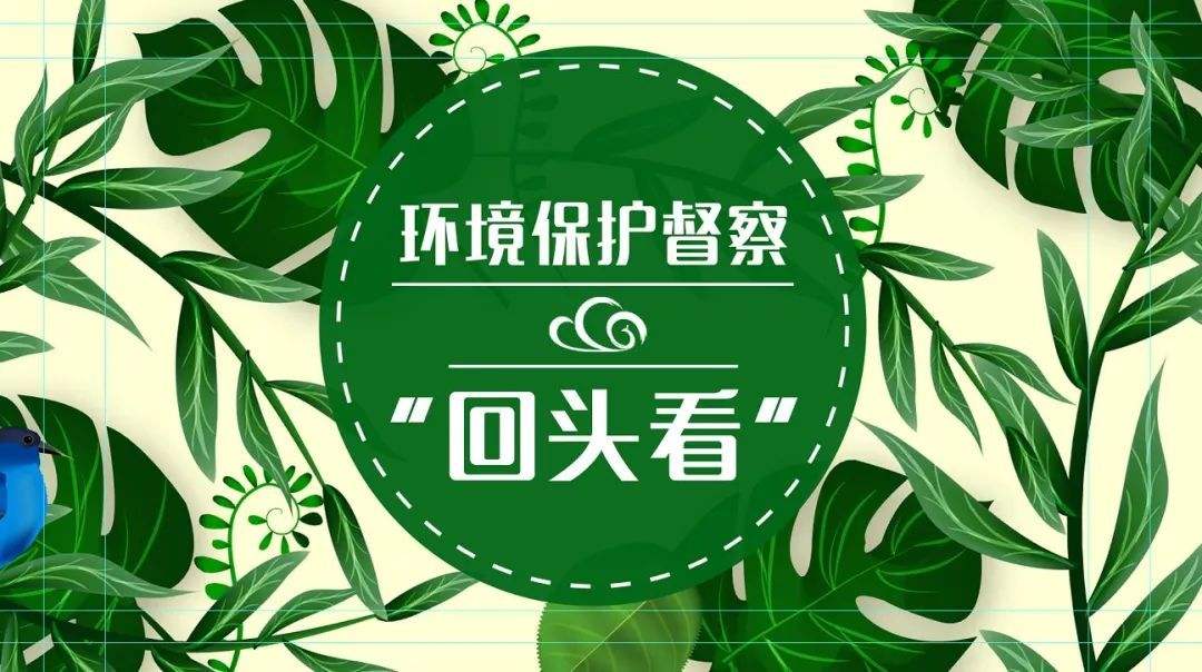 2019年第二輪環(huán)保督查：八項必查點！