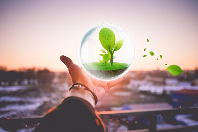 地塊土壤和地下水中揮發(fā)性有機(jī)物采樣技術(shù)導(dǎo)則