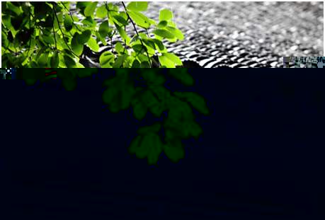 環(huán)境空氣降水中陽離子（Na+、NH4+、K+、Mg2+、Ca2+）的測定離子色譜法