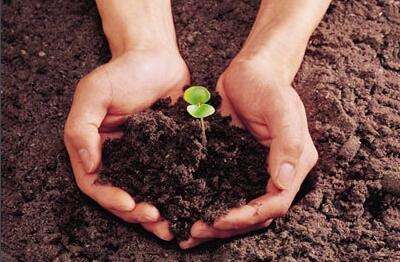 土壤和沉積物 氨基甲酸酯類(lèi)農(nóng)藥的測(cè)定 高效液相色譜-三重四極桿質(zhì)譜法