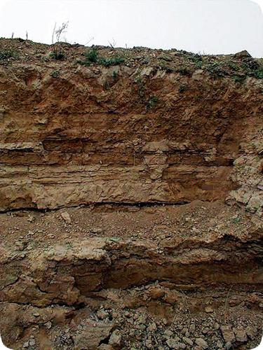 土壤和沉積物 總汞的測定 催化熱解-冷原子吸收分光光度法