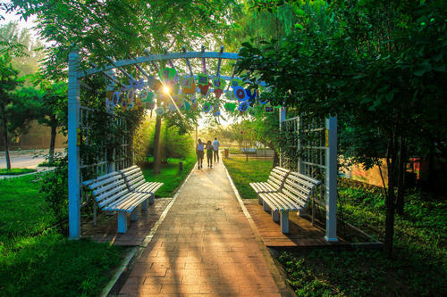 環(huán)境影響評價(jià)技術(shù)導(dǎo)則 土壤環(huán)境（試行）