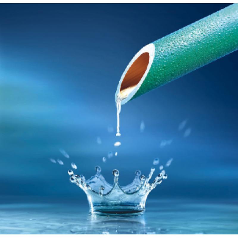 水質 氯酸鹽、亞氯酸鹽、溴酸鹽、二氯乙酸和三氯乙酸的測定 離子色譜法