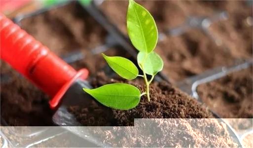 土壤和沉積物 11 種三嗪類農藥的測定 高效液相色譜法