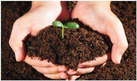 建設(shè)用地土壤污染狀況調(diào)查 技術(shù)導則